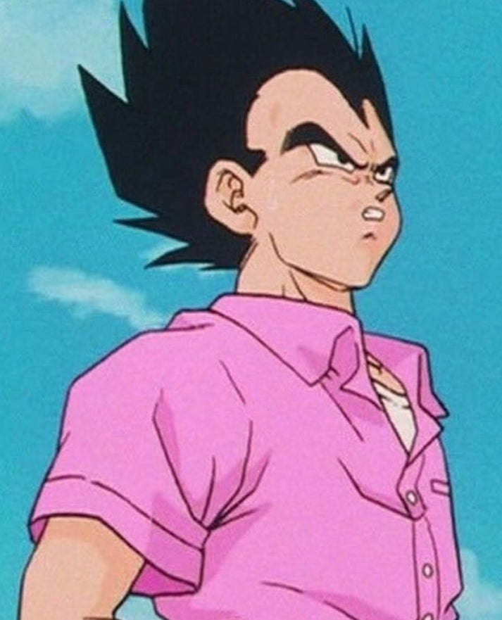 Pink Vegeta Dragon Ball Z Shirt